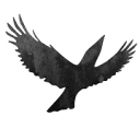 Jackdaw Web Design logo