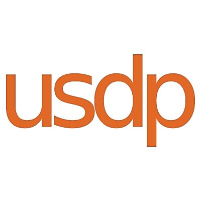 US Digital Partners Logo