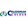 Caledonian Colour logo