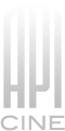 API Photographers Inc logo
