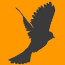 Birdlike Drone Solutions logo