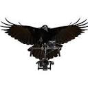 Corvus Eye Media logo
