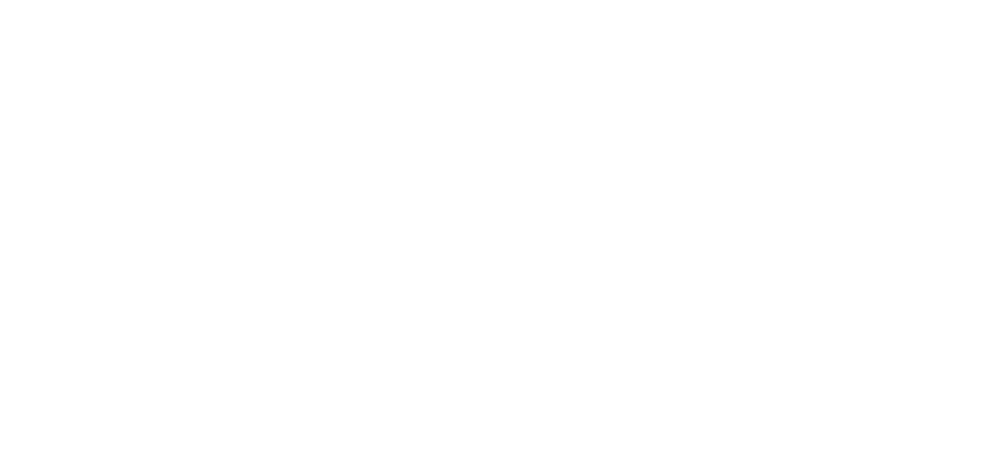 Nick H. Visuals logo