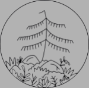 Nontraweddings logo