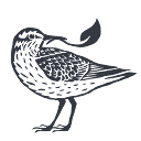 Sandpiper Video logo