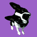 SMART Productions, Inc. logo