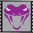 Video Viper  logo