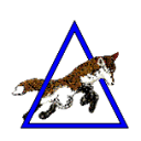Delta Fox Design logo
