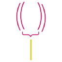 Digital Tulip logo