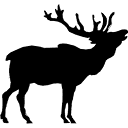 Elkmont Media logo