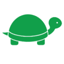 Fasturtle logo