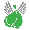 Flying Fig creative studio logo