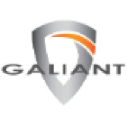 Galiant Business Solutions logo