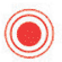 IYBS Local logo