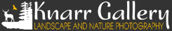 Knarr Gallery logo