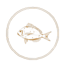 Little Fish Digital Marketing logo