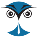 OnWebLocal logo