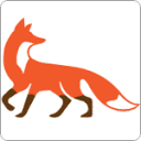 Outfox IT Services LLC logo