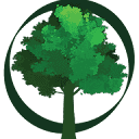 Site Tree Studio logo