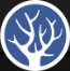 The Joshua Tree logo
