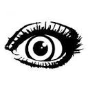 True Visions Design logo