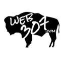 Web 307 Logo