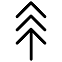White Pine logo