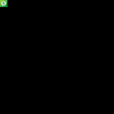 WordPress Conversion Service logo