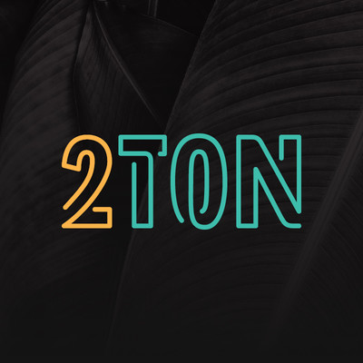 2TON Logo