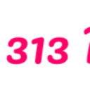 313 Design logo