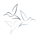 3 Baby Birds Digital Solutions Logo