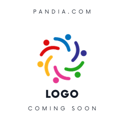 Websites999 Logo