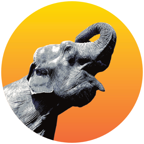 Radiant Elephant Logo