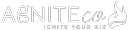 Agnite Communications Logo