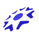 Alternative Media Services Logo