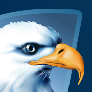 Americaneagle.com, Inc. Logo