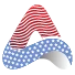 American Web Design Studio Logo