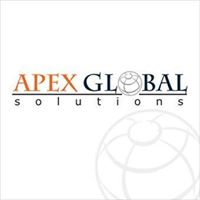 Apex Global Solutions Logo