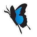 Butterfly House Graphic Design Logo