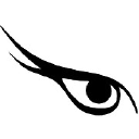Avian Eye Solutions Logo