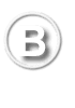 Badgerland Marketing Logo