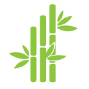 Bamboo Marketing Solutions, LLC Logo