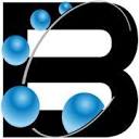 Biancorp IT, LLC Logo