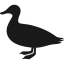 Big Duck Logo