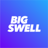 Big Swell Media Logo