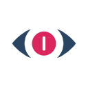 Binary Vision Ltd Logo