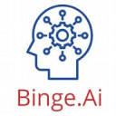 Binge.Ai Corp Logo