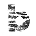 Birches Brand Logo