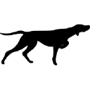 Bird Dog Digital Logo