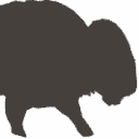 Bison Web Media Logo